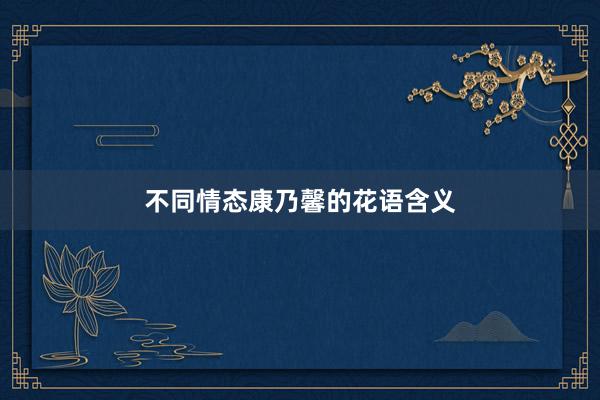 不同情态康乃馨的花语含义