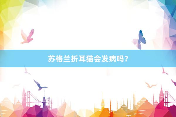 苏格兰折耳猫会发病吗？