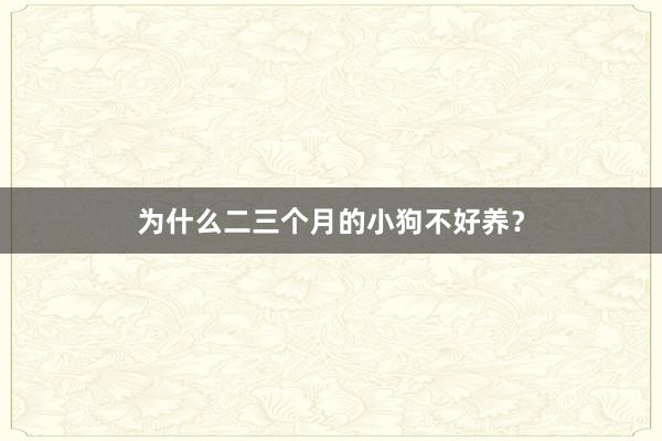 为什么二三个月的小狗不好养?