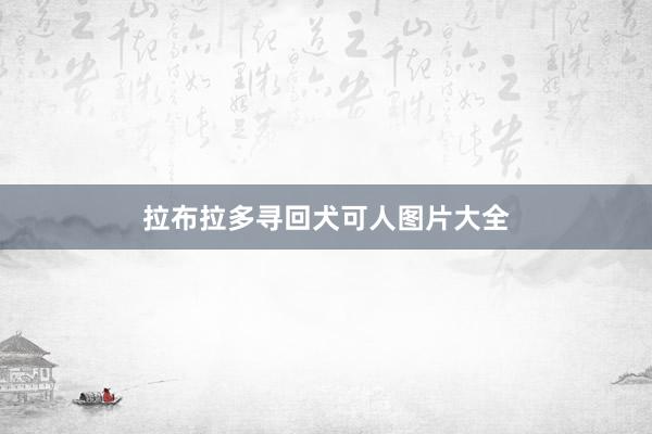 拉布拉多寻回犬可人图片大全